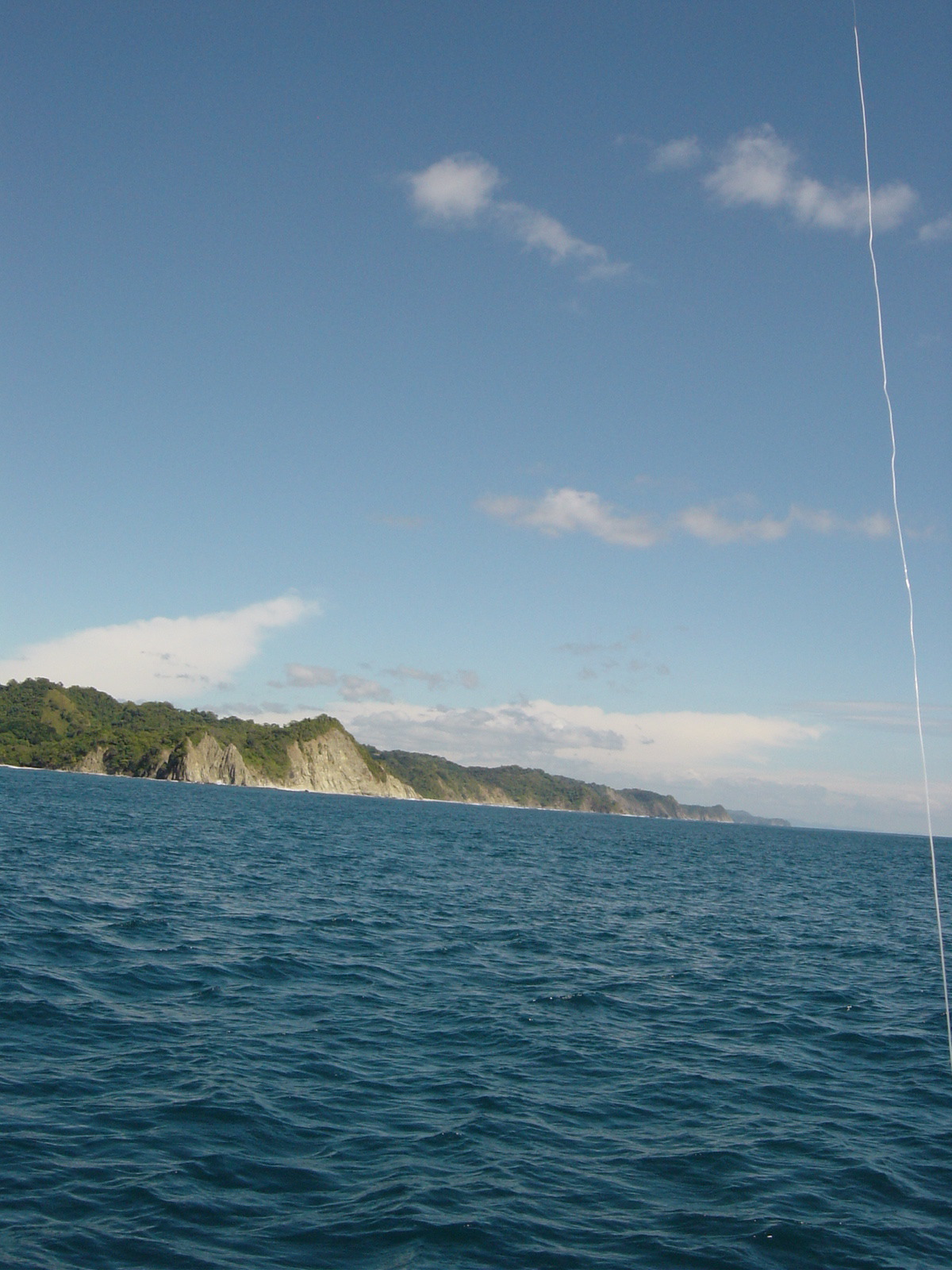 DSC01637.JPG