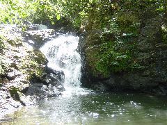 DSC01654.JPG