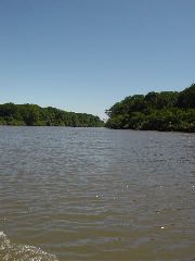 DSC01600.JPG
