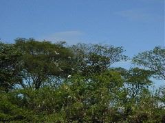 DSC03386.JPG