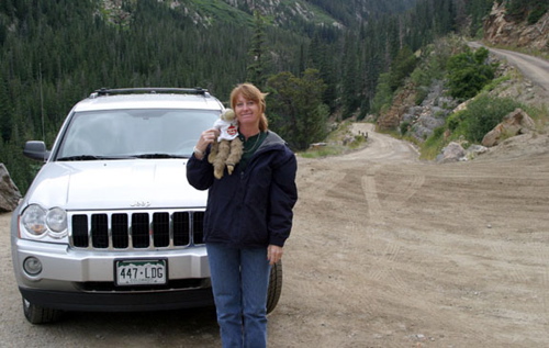 Switch back in Rocky Mtn Nat Park